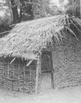 Housing in Fr Winfried's village